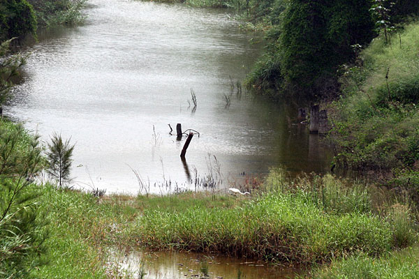 Lockyer Creek at Abberton